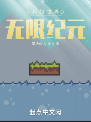 我的世界：无限纪元