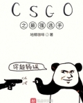 CSGO之最强选手