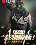 CSGO：载物模版！